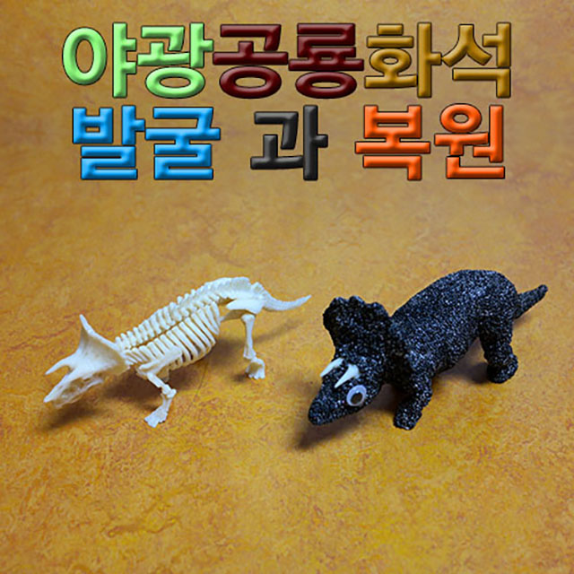 야광공룡화석 발굴과 복원(발굴형)-DAB