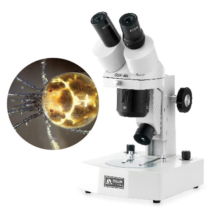 보급형 쌍안 실체현미경 OSS-L시리즈-DCY7131