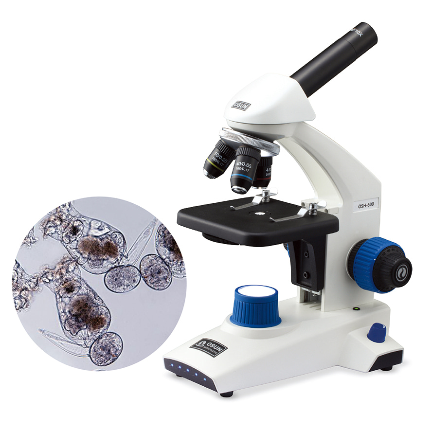 생물현미경 OSH 시리즈-DCY7155