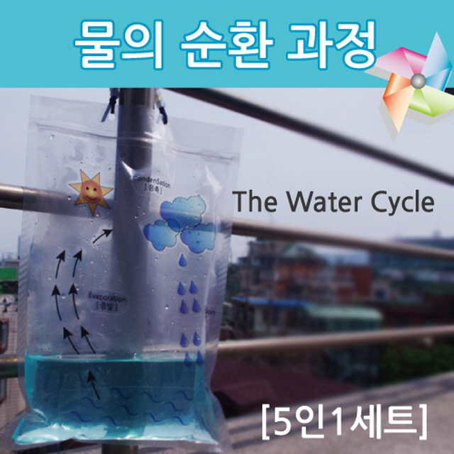 물의 순환과정(5인)-DTS